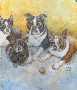 Ann's Dogs