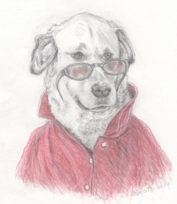 Jasper
