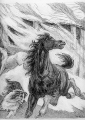 Illustration from Wolf by Albert Payson Terhune