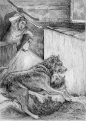 Wolf