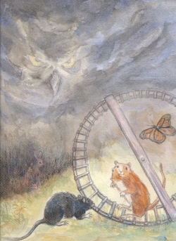 Gerbil Wheel Book Concept