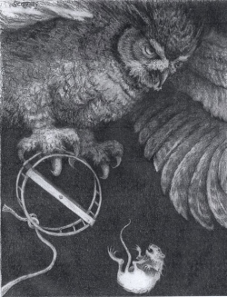 Owl and Albert
