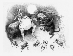 The Night of the Full Moon