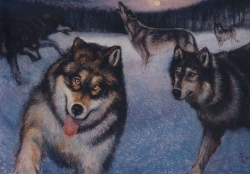 Wolves