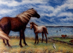 Misty of Chincoteague